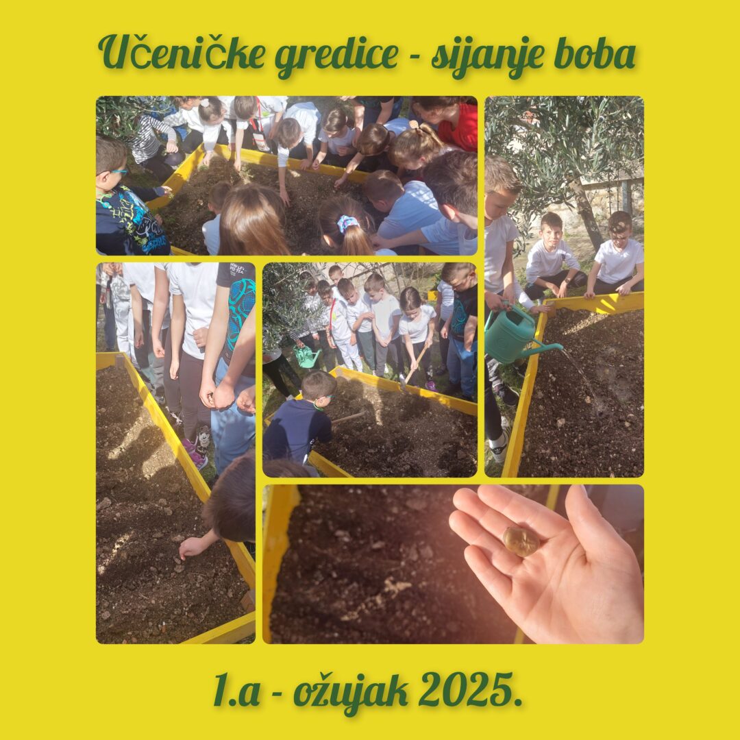 Sijanje boba 1. A