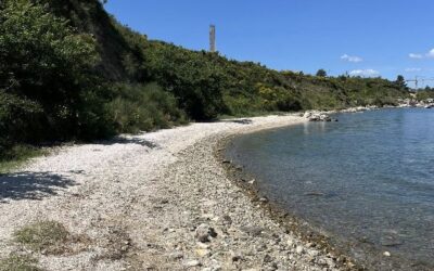 Očišćena plaža Stinice